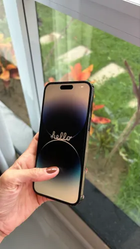 iPhone 14 Pro Max 256gb