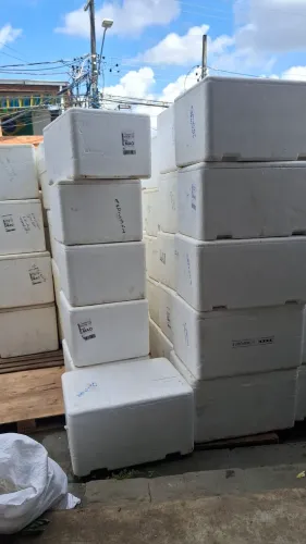 Isopor a venda em Manaus