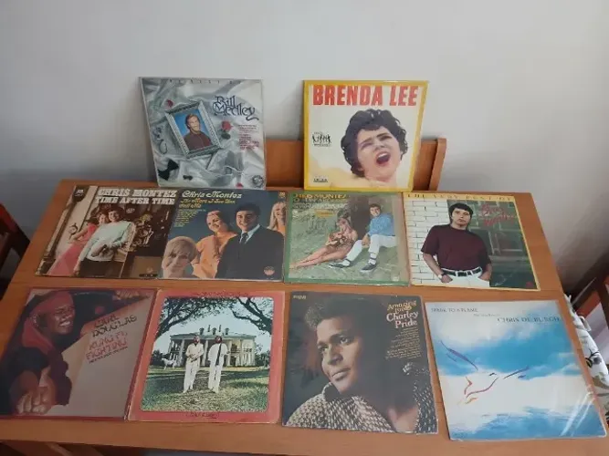Lote de LPs Vinil variados X