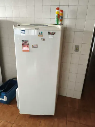 Freezer Pratice 240 Consul