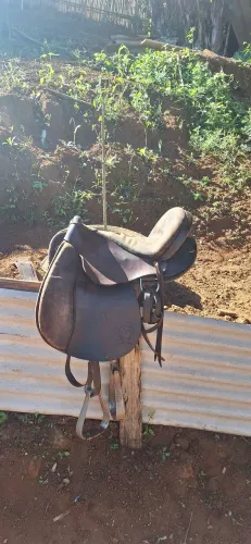 Cela para cavalo pista