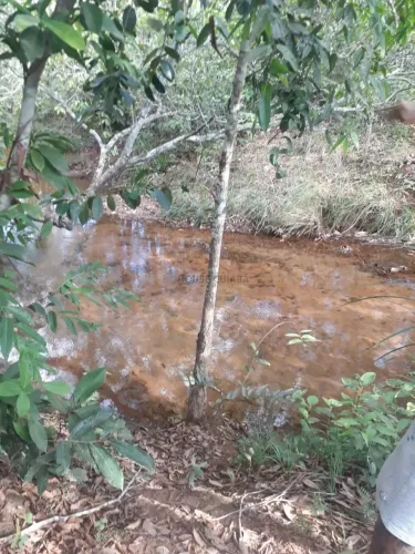 VENDO!!! Um terreno bruto com 1.020 M² no loteamento gratidão, somente 12 km da