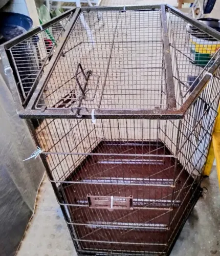 Gaiola para pássaros