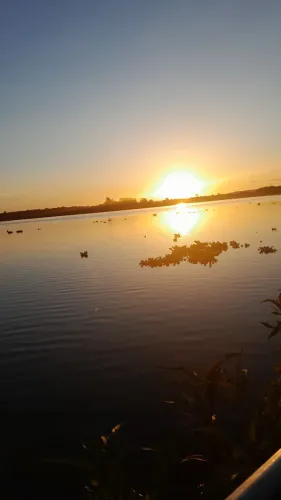 Terreno em alvorada do sul pr 