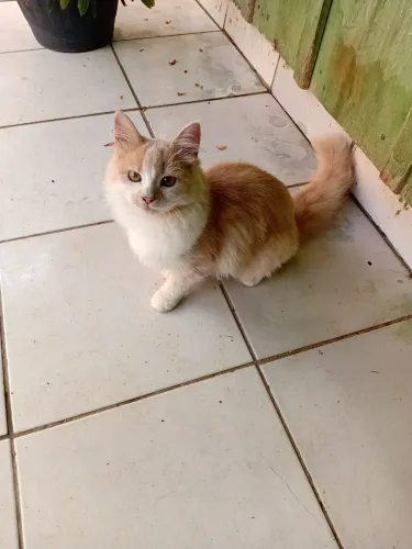 Doa se gata