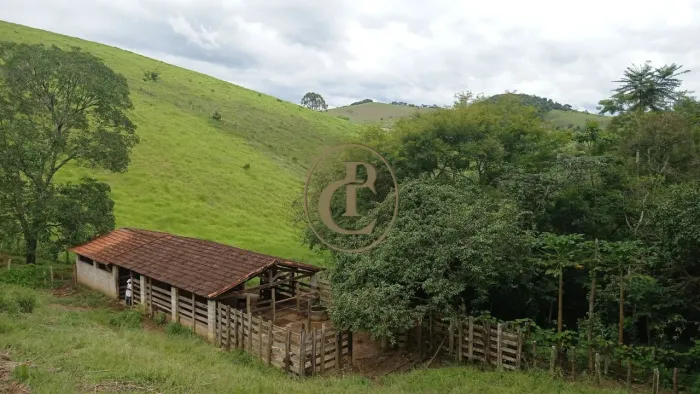 chacara 13 Hectares Bairro Freitas SJC SP