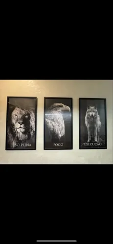 Quadros decorativos