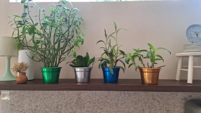 Conjunto com 4 vasos decorativos