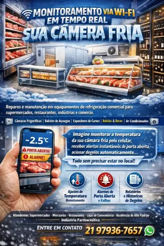 Manutenção em Câmera Fria e Refrigeração Comercial 