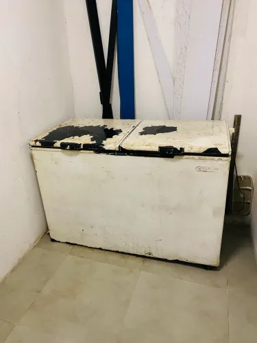 Freezer 