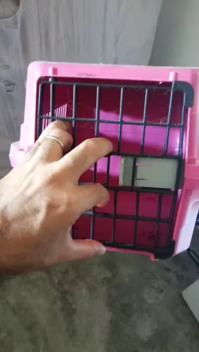 Caixa para pet