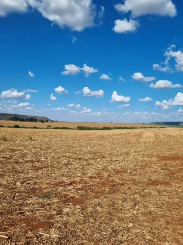 Fazenda a venda, em Ouroana - Rio Verde / Goiás