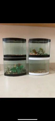 Vendo aquário para beta 