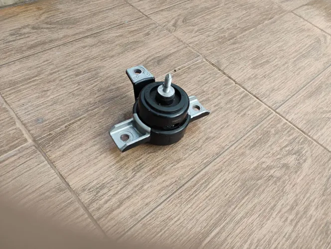 Coxinho do motor da Santa fé