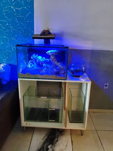 Aquário marinho 