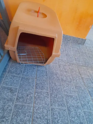 Caixa de transporte para pet
