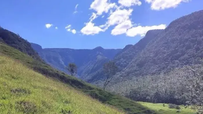 Propriedade Rural 9 Hectares - Turvo, SC