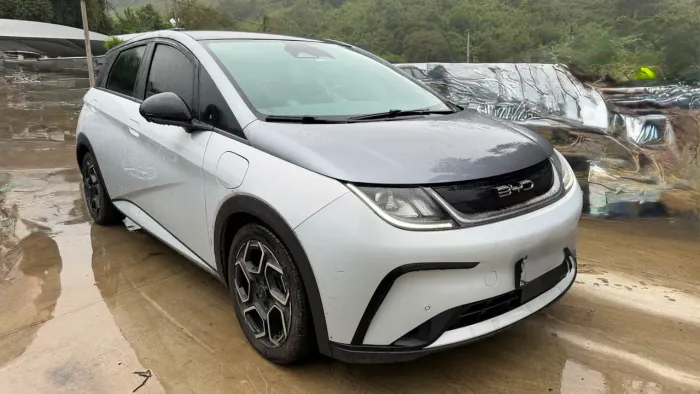 BYD Dolphin Plus (Elétrico) 2024