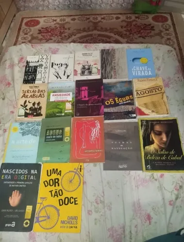 Lote de livros 