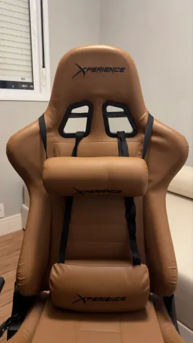 Cadeira Gamer Terracota 