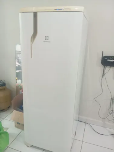 Geladeira Electrolux RFE39