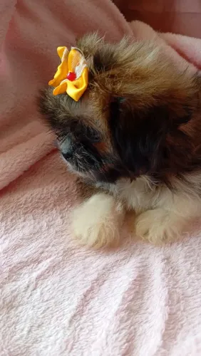 Que lindo presente ? para sua mãezinha ?