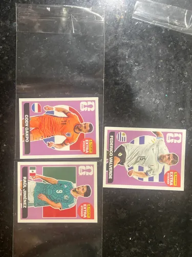 3 legend bordos