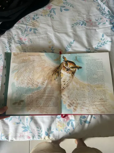 Livro Ilustrado Harry Potter