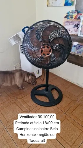 Ventilador 