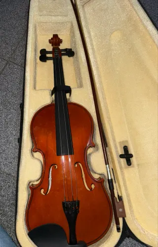 Violino 