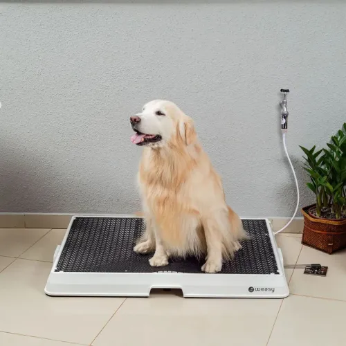 BANHEIRO INTELIGENTE COM MANGUEIRA DA WEASY ( para cachorro)