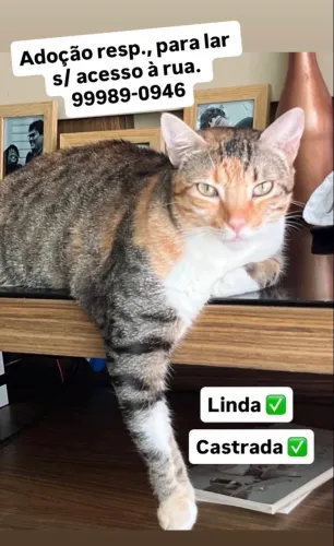 Linda Pandora castrada
