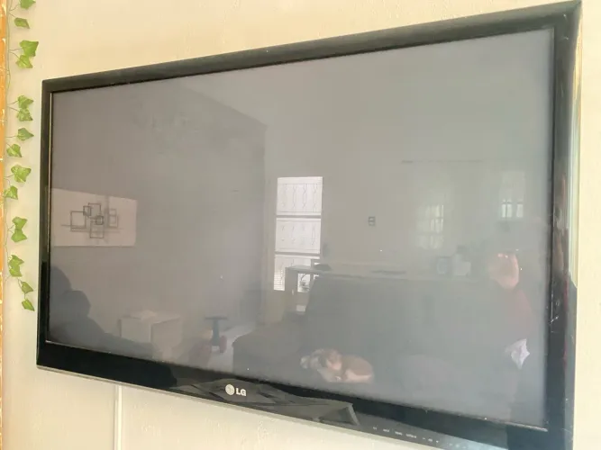 Televisão LG com defeito