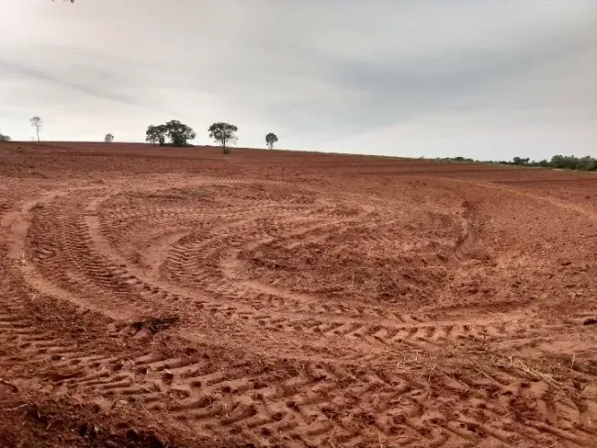 VENDO OU ARRENDO SITIO EM SANTA ELIZA PARANA