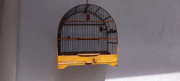 Gaiola Baianinha