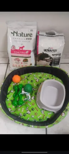 Comida e acessórios para cachorros
