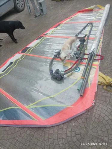 Windsurf vela