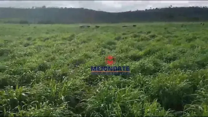 Fazenda com 1 dormitório à venda, 10000 m² por R$ 37.400.000,00 - Centro - Bom Jesus das S