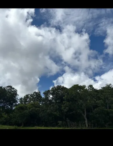Fazenda Cachoeira