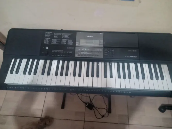 Teclado casio CT - X800