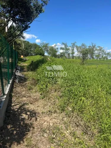Lote/Terreno à Venda, Lagoa - Gaspar