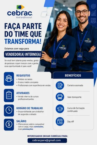 Vendedor (a) Interno