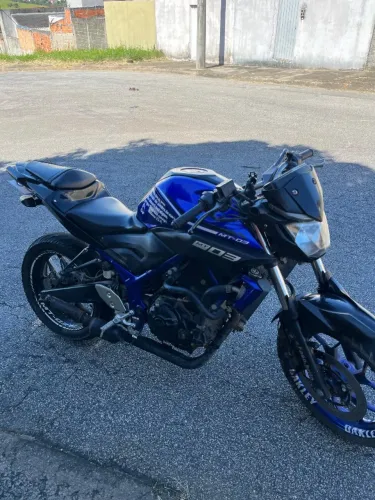 Mt03 