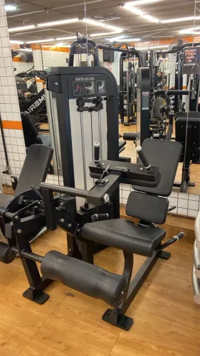 Cadeira flexora Hammer