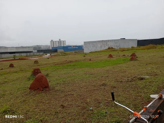 Corte,poda, plantio de arvores, limpeza de terrenos