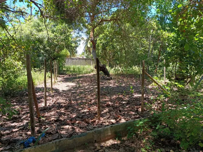 Vendo terreno em Porto de Sauípe