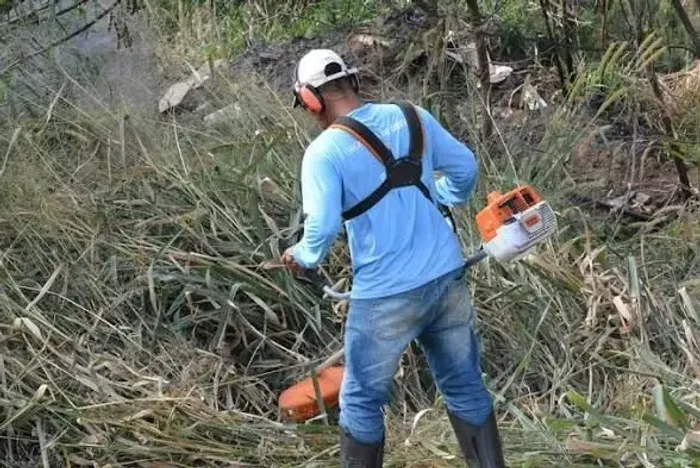 Limpeza de terreno e quintal $80