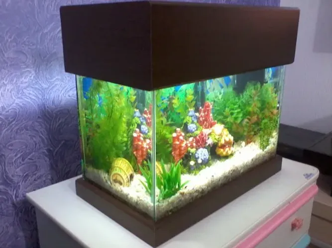 Aquário com Moldura Completo