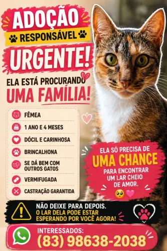 ADOÇÃO RESPONSÁVEL URGENTE