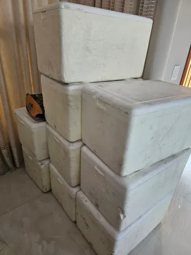 Caixas isopor 60 lts semi novas usadas uma única vez